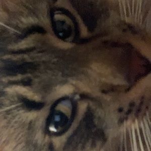 Meet your Posher, Cade